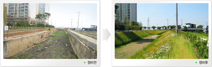 베르네천자연형하천전후대비