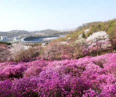 3경 진달래동산