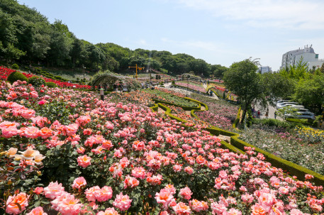 1�� �鸸������̿� ����1