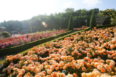 1�� �鸸������̿� ����2