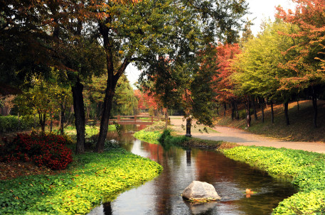 5�� ��õ�ѷ���(������) ����