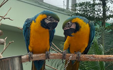 부천식물원 관련 사진