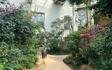 부천식물원 관련 사진