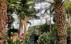 부천식물원 관련 사진