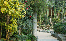 富川植物园