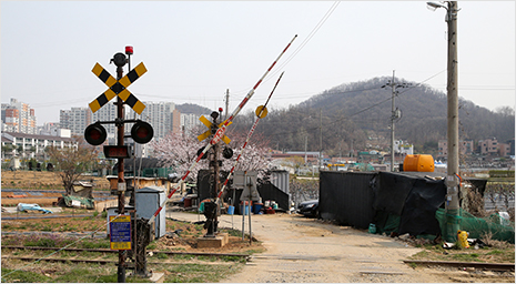 도시숲길 둘레길 사진04