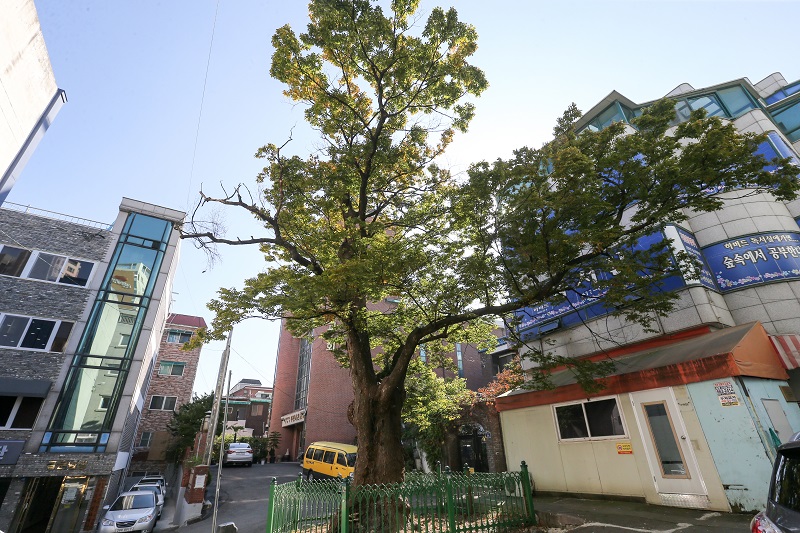 소사내음길 둘레길 사진03