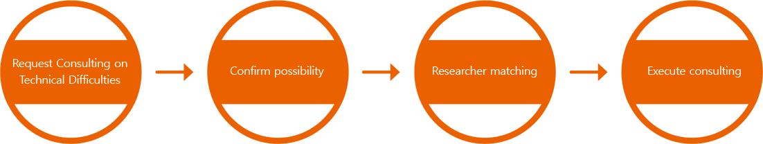 consulting process