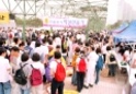 실업대책극복을 위한 1만인 걷기대회6 이미지