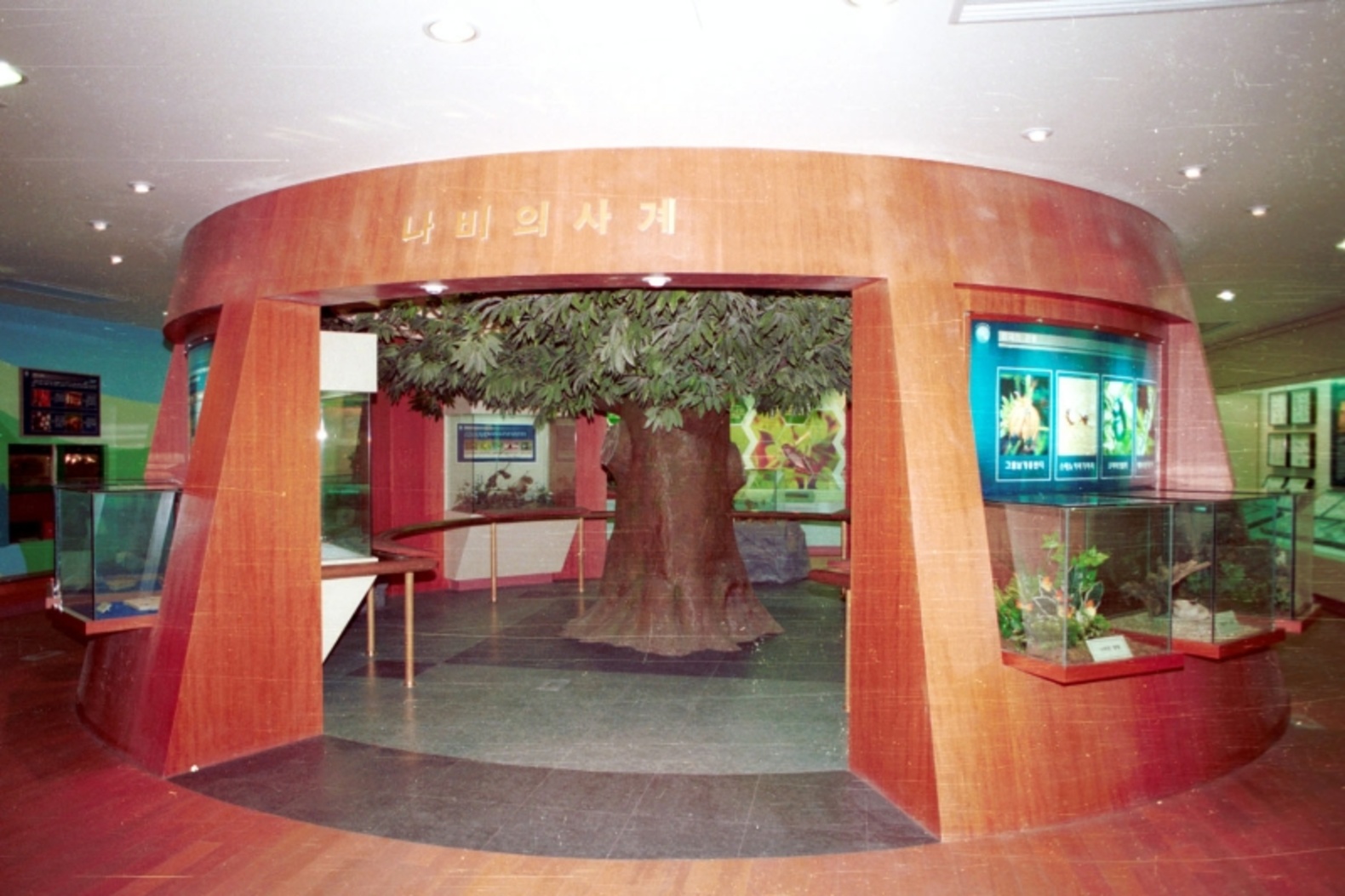 자연생태박물관 내부 이미지
