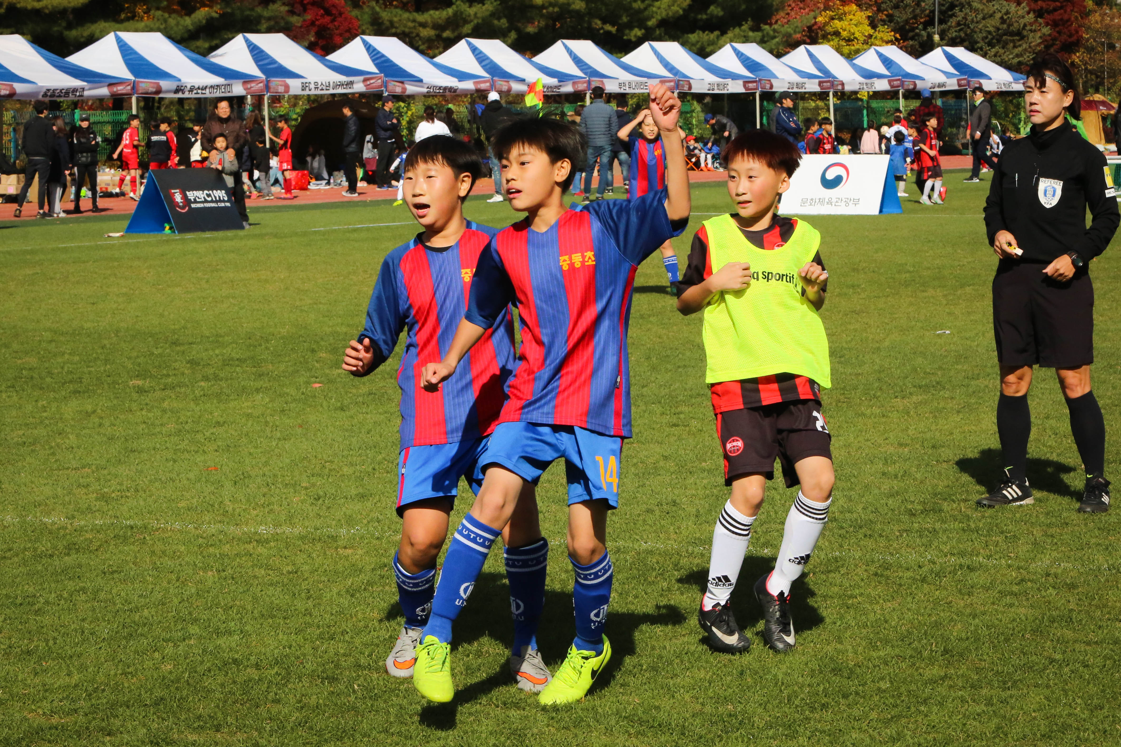 6Z1C8581-100.jpg