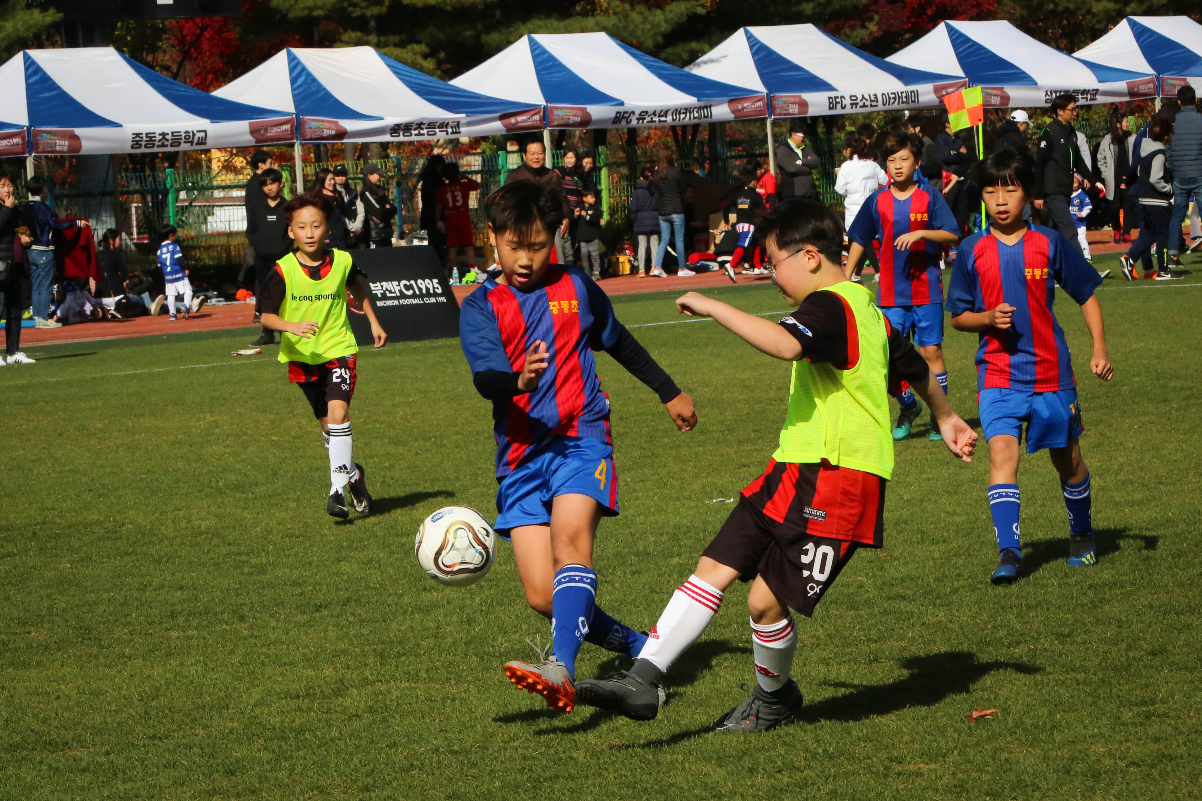 6Z1C8585-103.jpg